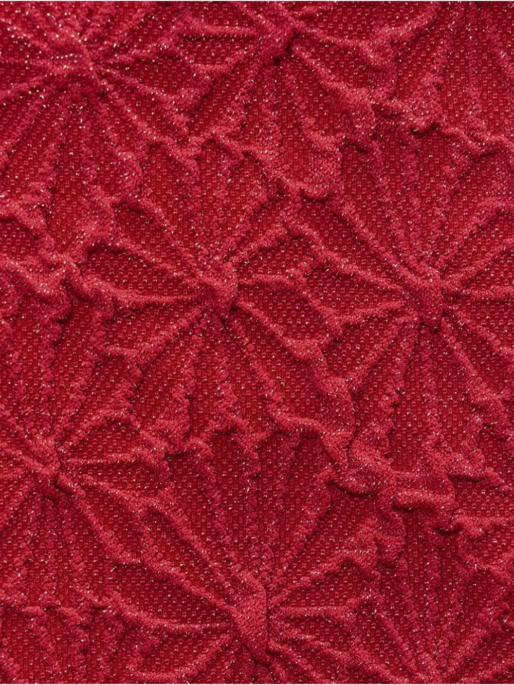 Berlook Wine Red Sparkle Textured Underwire Top & Full Coverage Bottom- Swim Set - Picture 10 of 13
